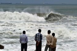 Andhra Pradesh Tourism Plans Dolphin Watching And Jungle Safari To Boost Global Appeal