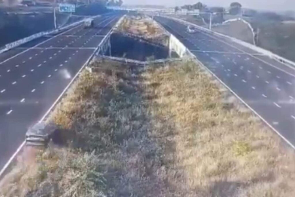 5 Dead As Speeding Car Crashes Through Barrier, Falls Into Ditch On Delhi–Mumbai Expressway