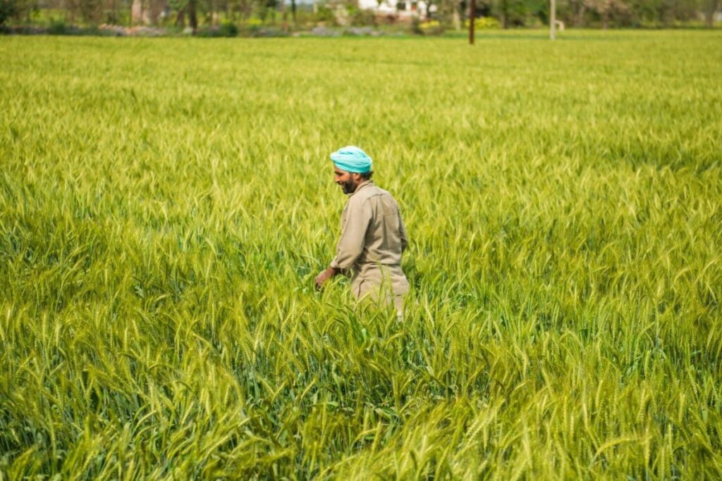 'Opens Space For Premium Products': Trump Tariff Exemption Boosts Indian Farm Exports