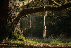 4-Year-Old Hung From Tree By Teachers For Not Doing Homework In Chhattisgarh