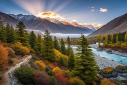 Wildlife Panel Clears 13 Defence Projects In Ladakh And Arunachal With Strict Eco Safeguards