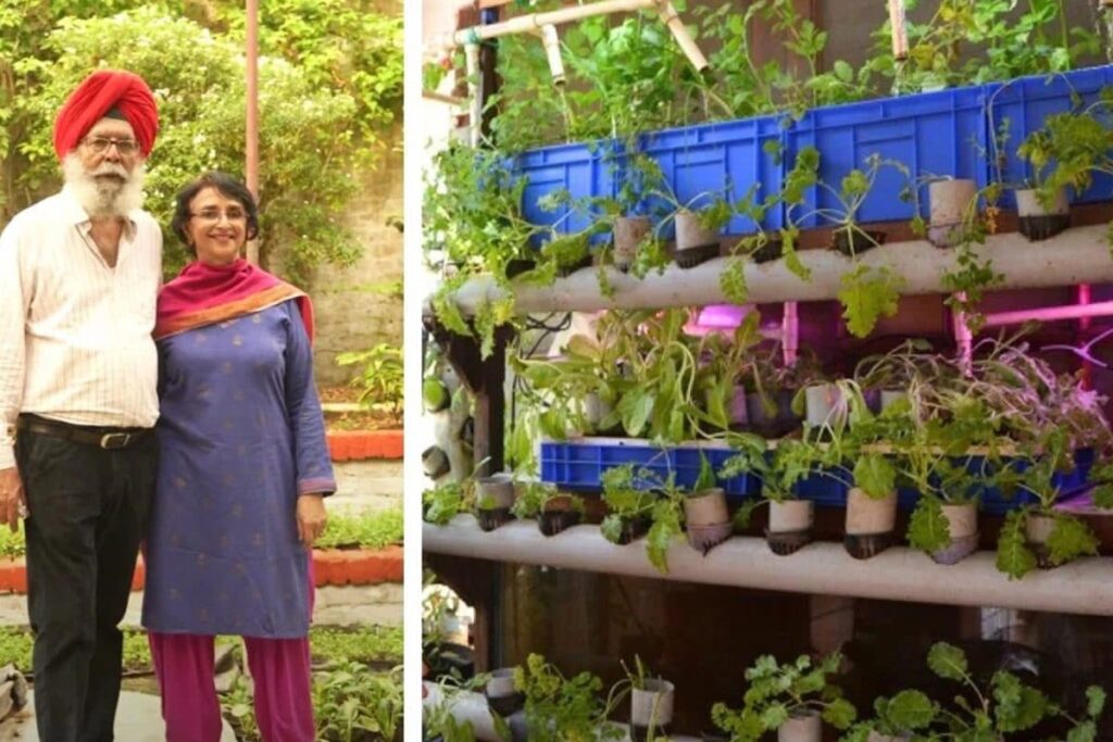 How One Delhi Home Beat The Smog With An AQI Of Just 15