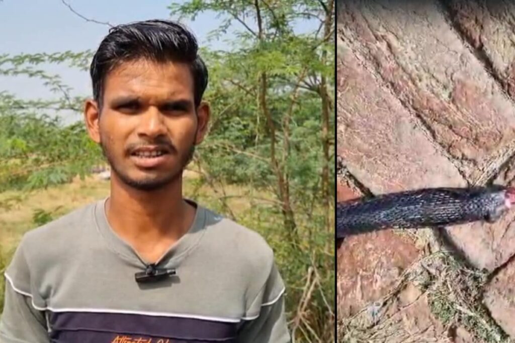 UP Farmer Bites Snake After Being Bitten By It, Says 'I Was Angry, Scared'