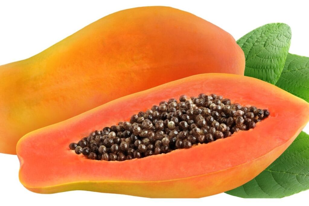 Faith, Prestige And A Rs 40,000 Papaya: Karnataka's Unusual Temple Auction