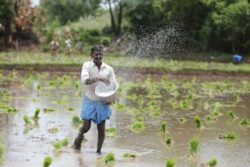 PM Kisan Update: Centre Issues Major Notice For Farmers, Clarifies Key Scheme Details