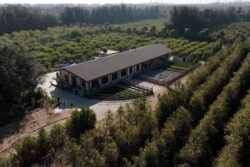 Vantara Gets Global Praise As CITES Highlights Facility's World-Class Animal-Care Standards