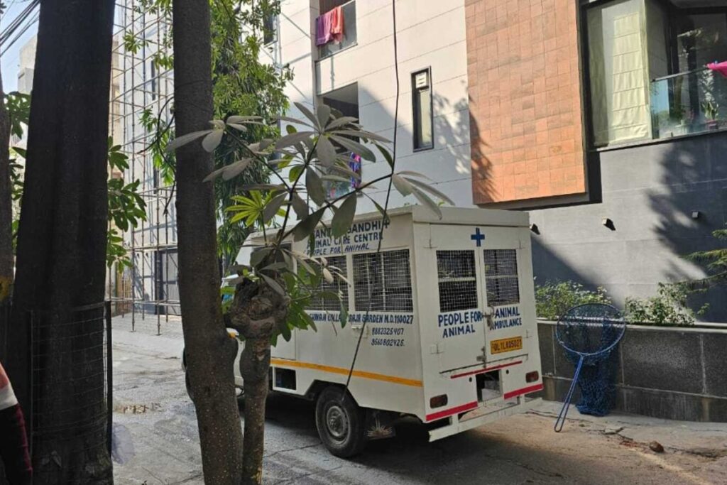 Goa Fire Tragedy: Luthra Brothers Flee, Leave Dog At Home; Welfare Team Steps In