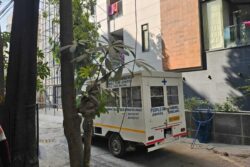 Goa Fire Tragedy: Luthra Brothers Flee, Leave Dog At Home; Welfare Team Steps In