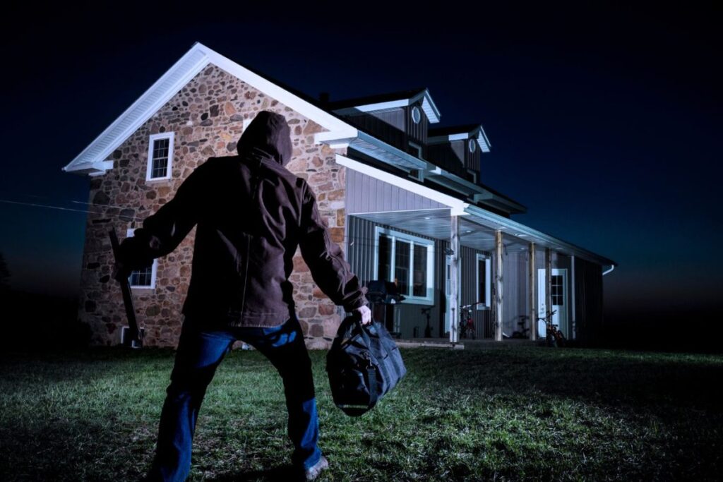 First He Stole, Then He Was Stolen, Then He Stole Again: Bengaluru Plot Twist