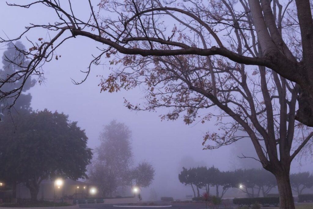 Brace For Chilly Winds In Bengaluru As IMD Issues Statewide Cold Wind Warning
