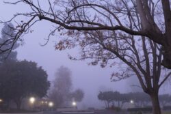 Brace For Chilly Winds In Bengaluru As IMD Issues Statewide Cold Wind Warning
