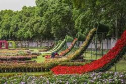 Lalbagh In Bengaluru Crowned As The Most Searched Botanical Garden On Google Maps