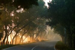 Bengaluru Shivers As Temperatures Dip, Dense Fog Disrupts Morning Commutes