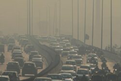 'Stubble Burning Shouldn't Be Politicised Or Become Ego Issue': SC On Delhi Air Pollution