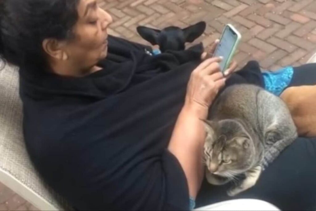 'My Little Universe Of Fur': Renuka Chowdhury Shares Moments With Her Pets After Parliament Row