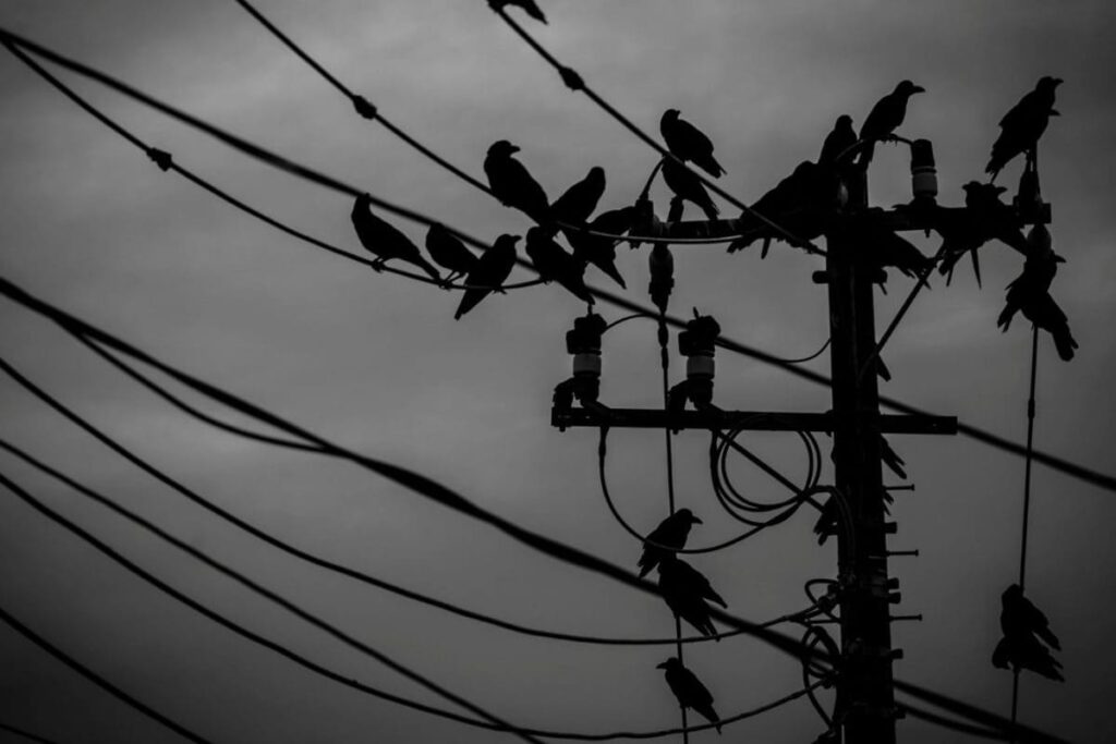 Bengaluru To Face Daytime Power Cut On December 25: Area-Wise Details