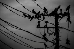 Bengaluru To Face Daytime Power Cut On December 25: Area-Wise Details