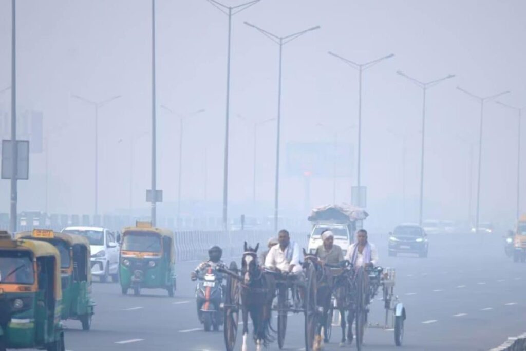 Cold Wave Warning From December 9; Minimum Temperatures Likely To Drop In Northwest India