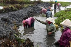 G RAM G Bill, Set To Overhaul MGNREGA, Gets President Murmu’s Assent