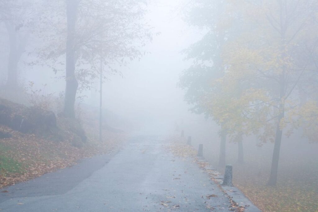 Winter Bites Hard: Cold Wave Warning For Karnataka Districts, Bengaluru Included