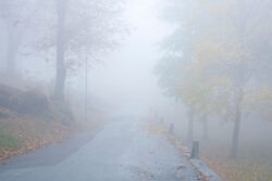 Winter Bites Hard: Cold Wave Warning For Karnataka Districts, Bengaluru Included