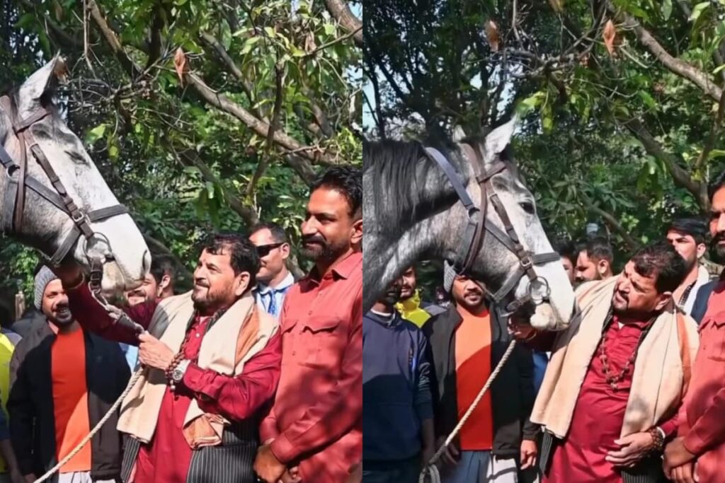 Riding High: Brij Bhushan's Birthday Gift, A Rs 1.25-Crore Racehorse, Steals Spotlight In Gonda