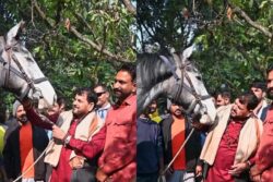 Riding High: Brij Bhushan's Birthday Gift, A Rs 1.25-Crore Racehorse, Steals Spotlight In Gonda