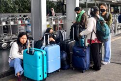 'Compliance Lapses, Poor Planning': Why Govt Initiated Probe Against IndiGo After Flight Disruption