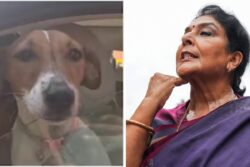 First Dog, Then The ‘Bark’: Congress MP Renuka Chowdhury’s Defiance Amid Remark Row