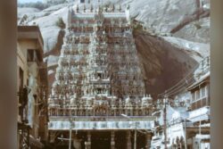 'Cocking A Snook': HC Pulls Up Tamil Nadu Govt For Ignoring Order On Temple Lamp Lighting