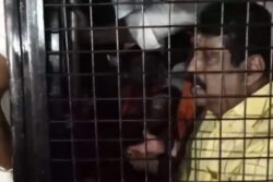 TN BJP Chief Nainar Nagenthran Detained After Attempt To Light 'Karthigal Deepam'