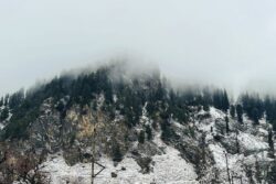 Snow Famine In Uttarakhand: Why Are The Mountains Still Bare And Dry This Year? | Explained