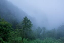 Cold Alert For Bengaluru: IMD Warns Of Severe Chill Across Interior Karnataka