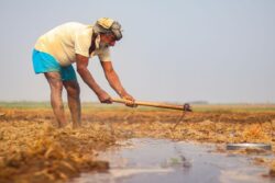 "I Am Alive, Not Dead": Karnataka Farmer’s Fight Against Bureaucratic Nightmare