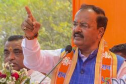 Close Call For UP Deputy CM Keshav Prasad Maurya: Car Crash With Cow Spotlights Stray Animal Menace