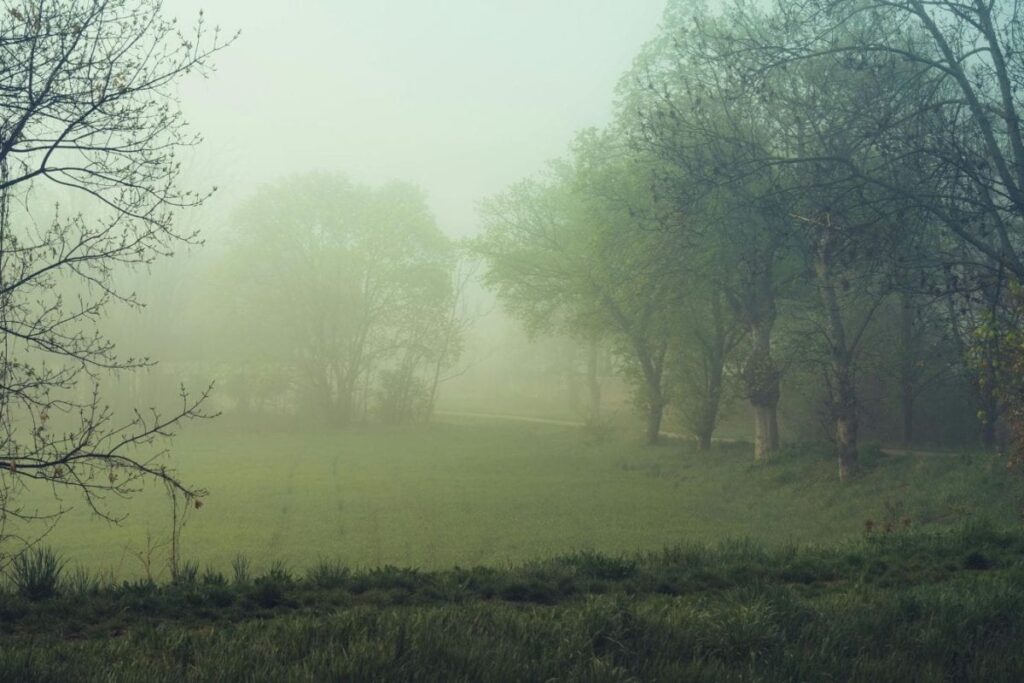 Bengaluru Shivers As Severe Cold, Dry Weather Grips State, IMD Issues Warning