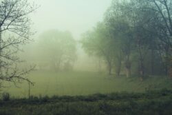 Bengaluru Shivers As Cold Tightens Across Karnataka, No Relief Likely Soon