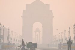 'Find Reasons First, Then Solution': Supreme Court On Delhi Air Pollution
