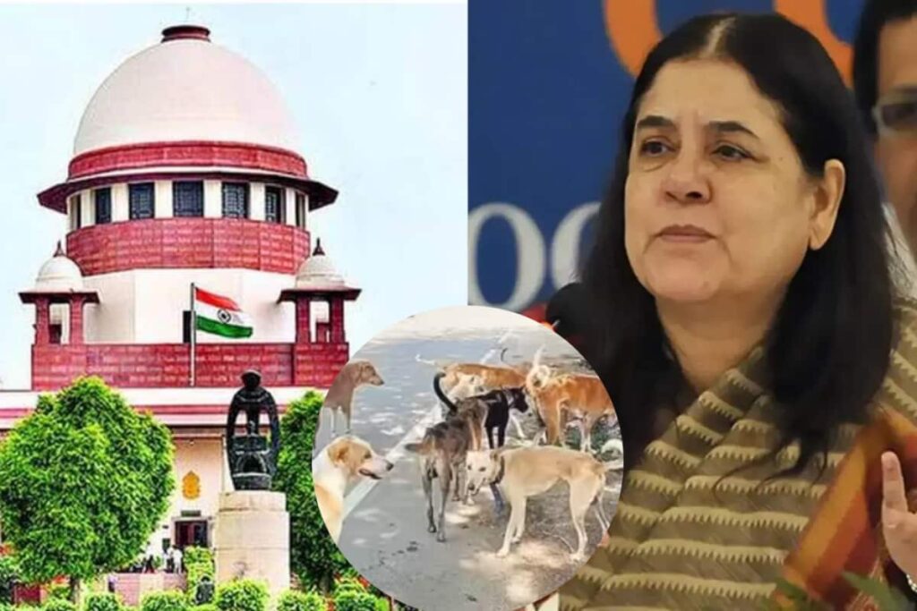 ‘Committed Contempt’: Supreme Court Slams Maneka Gandhi On Remarks Against Stray Dog Order
