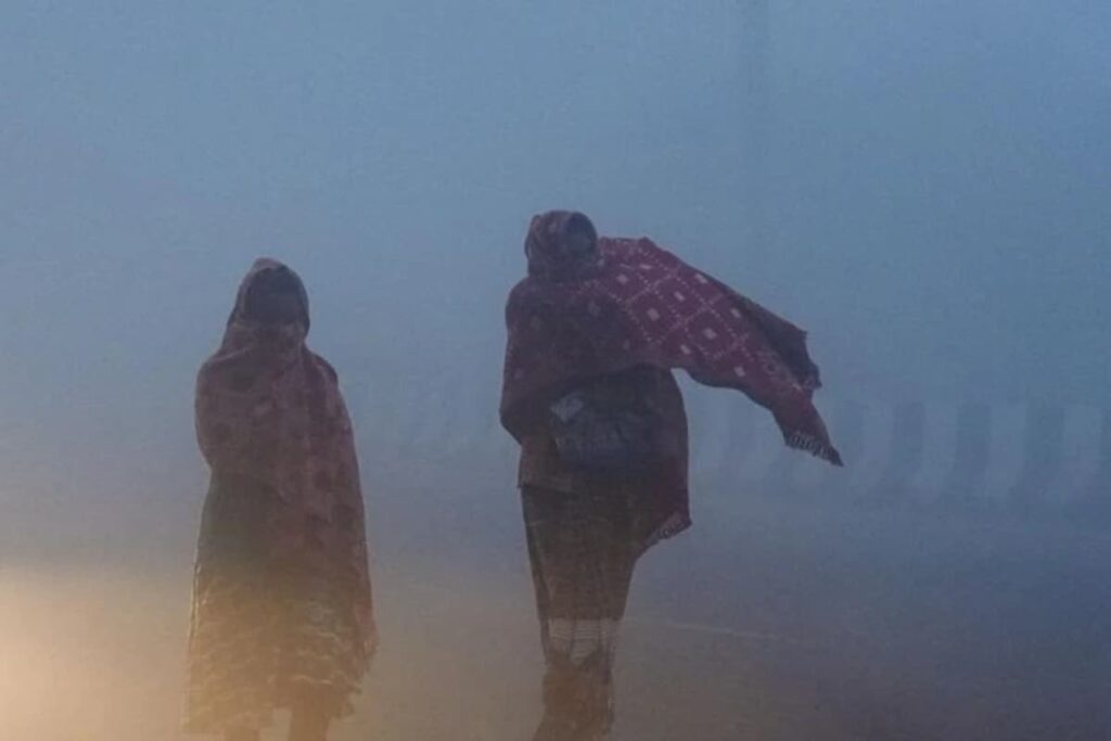 IMD Warns Of Cold Wave, Dense Fog In North, Central India: Check Advisory