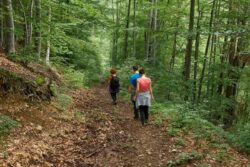 Planning A Trek In Karnataka? Forest Dept May Stop You At The Gate, Here’s Why