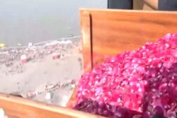 Flowers Showered On Devotees Taking Dip At Prayagraj's Sangam On Mauni Amavasya | Video