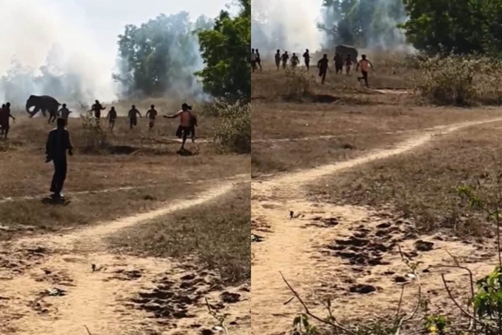 Three Trampled To Death By Wild Elephant Along Jharkhand-Odisha Border