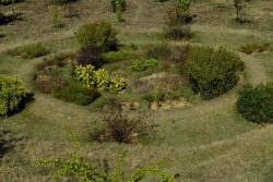 Bengaluru To Get New Biodiversity Park, Third Largest After Lalbagh And Cubbon