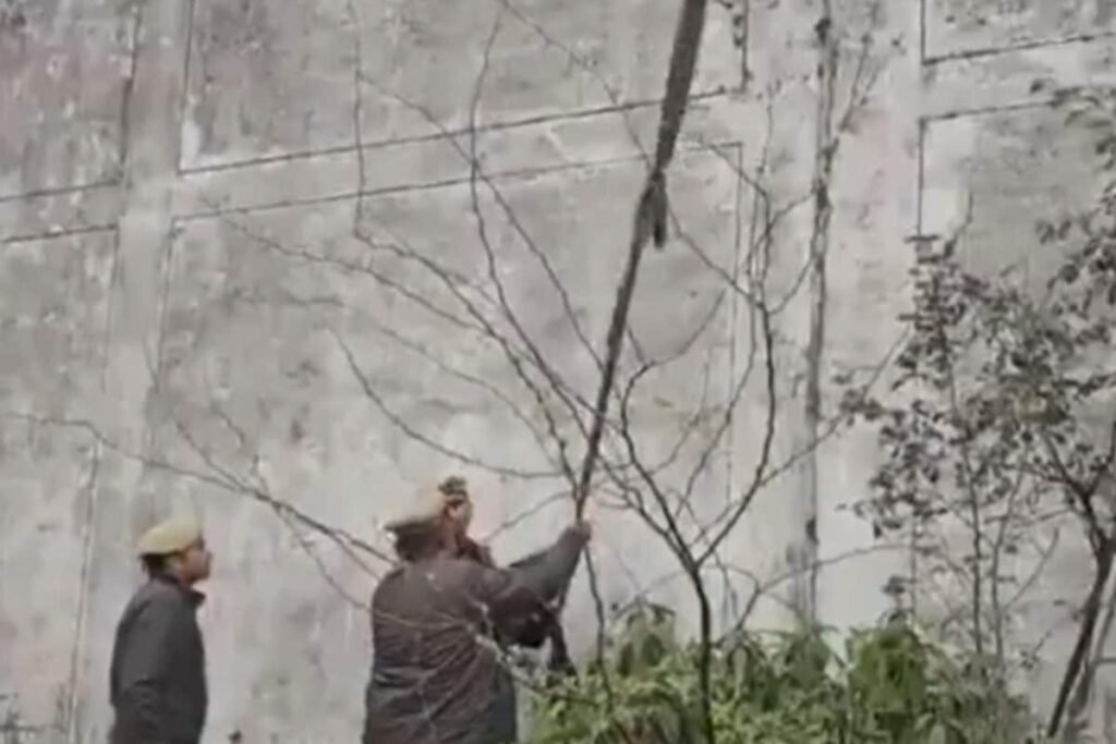 Two Inmates Escape After Climbing Kannauj Prison Walls With Make-Shift Rope | Video