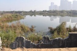 Noida Drowning Death: What Are Your Legal Rights When A Car Falls To An Open Pit? Explained