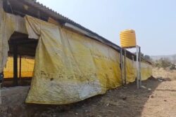 DRI Busts Mobile Mephedrone Lab In Maharashtra’s Satara, Drugs Worth Rs 55 Crore Seized