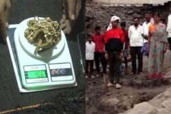 Ancient Or Ancestral? Family From Historical Karnataka Village Finds Gold 'Treasure' At Building Site