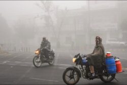 Dense Fog Claims Lives: Three Dead In Haryana, UP Due To Vehicle Pile-Ups Amid Cold Wave