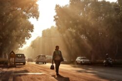 Stage-4 GRAP Restrictions Removed In Delhi-NCR As Air Quality Improves